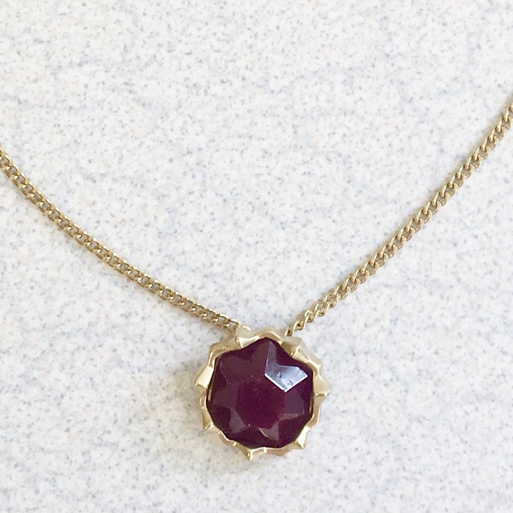 Pretty Sam Edelman NWOT Faux garnet Necklace!